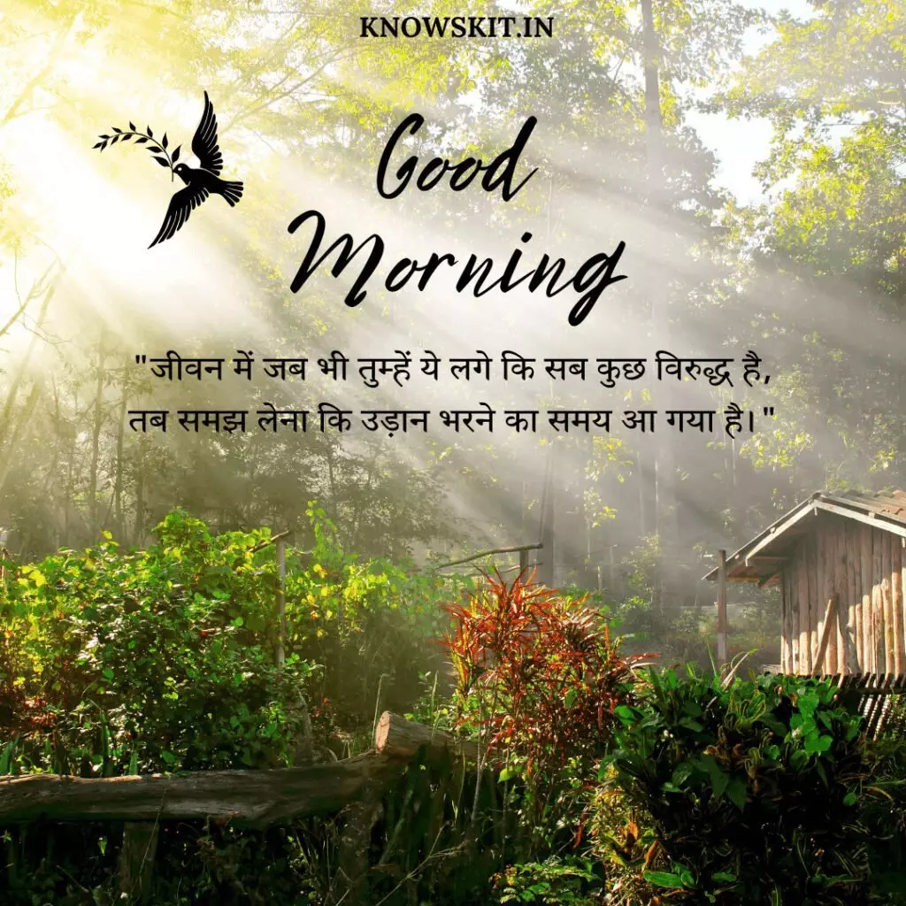 Good morning images with quotes in Hindi 5 1 Good morning images with quotes in Hindi