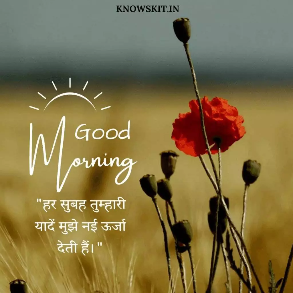 Good morning love quotes in Hindi 4 Good morning love quotes in Hindi