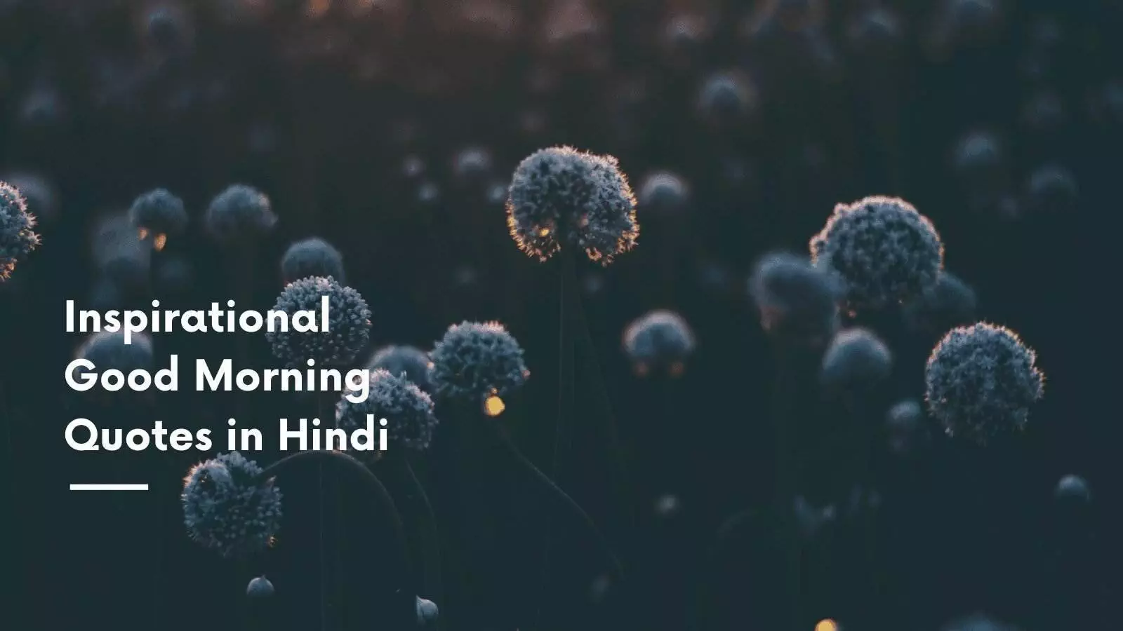 Inspirational good morning quotes in Hindi Inspirational good morning quotes in Hindi