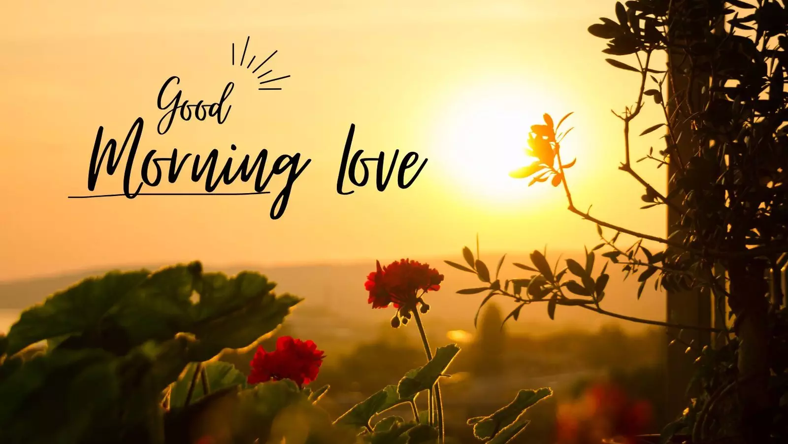 love thoughts in Hindi Good morning love thoughts in Hindi