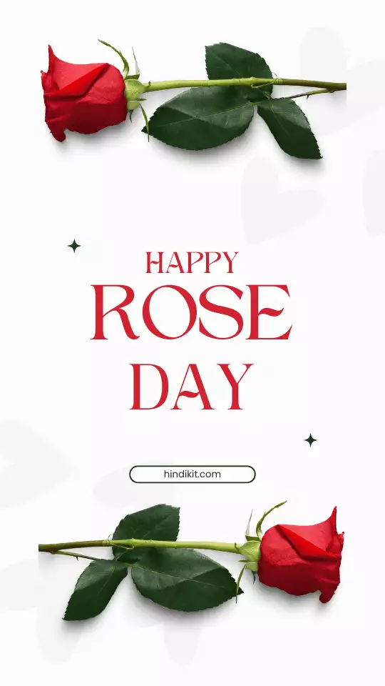 Happy Rose Day Wishes And Shayari For Wife Happy Rose Day Wishes And Shayari For Wife