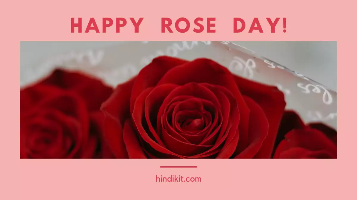 happy Rose Day Happy Rose Day Wishes With Images